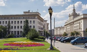 Sofia-taring-BB-stable